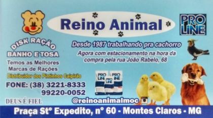 REINO ANIMAL Montes Claros Mg